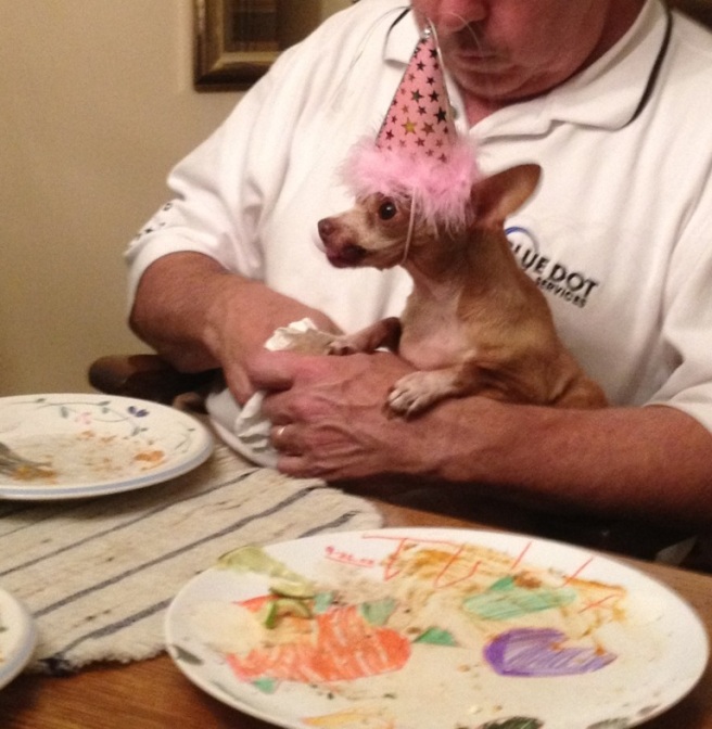 My father and Chichi in TN. Chichi was a senior chihuahua at a high kill shelter. She is the light of my dad's life. She is celebrating her rescue with her party hat on.  - Andrea